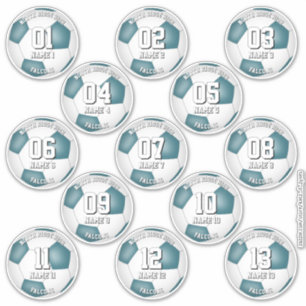 Pegatina colores de equipo de fútbol atletas conjunto de 13