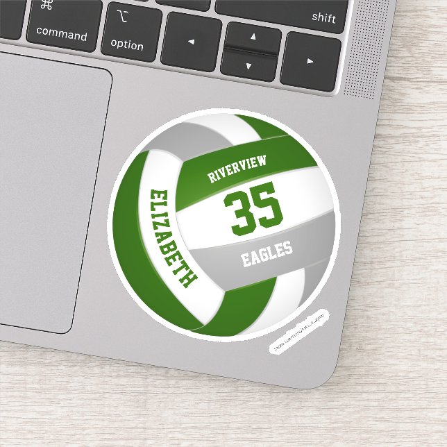 Pegatina colores de equipo gris verde chicas voleibol mascu (Detalle)