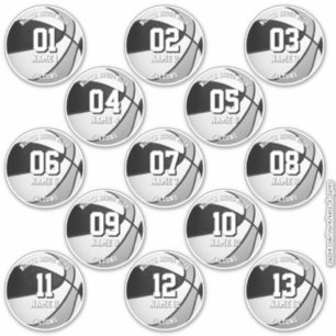 Pegatina colores del equipo de baloncesto gris negro 13 atl