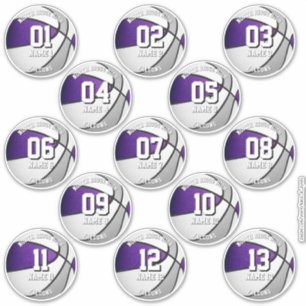 Pegatina colores del equipo gris morado 13 jugadores de bal