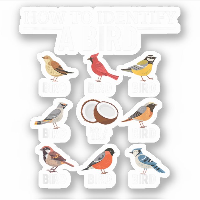 Pegatina Cómo identificar un pájaro Divertida observación d (Anverso)