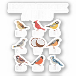 Pegatina Cómo Identificar Una Mirada De Aves Graciosa