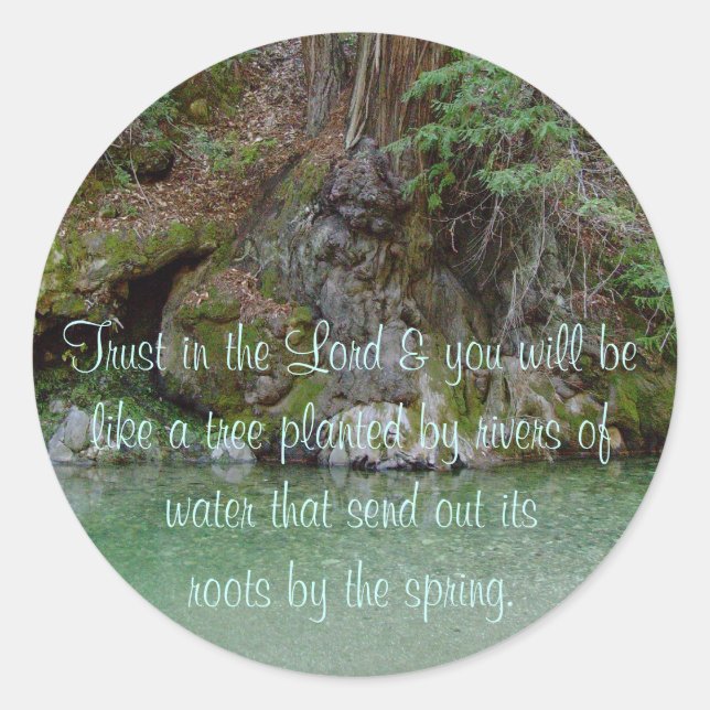 Pegatina con foto de un árbol junto a un río (Anverso)