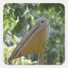 Pegatina con pelícano gracioso