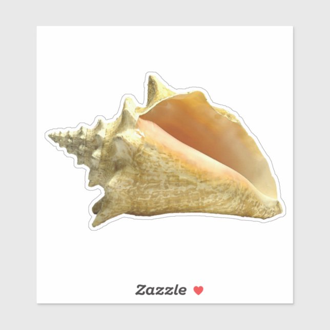 Pegatina Conch Shell (Hoja)