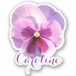 Pegatina Condado de nombre de Púrpura Pansy