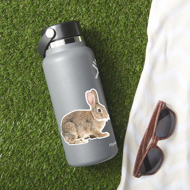 Pegatina Conejo de cola de algodón (HydroFlask Insitu)