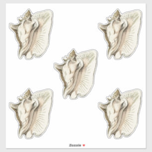 Pegatina conjunto de cáscara de cosecha de 5