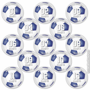 Pegatina conjunto de colores de equipo azul blanco 13 jugad