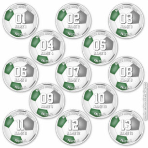 Pegatina conjunto de colores de equipo verde gris 13 jugado