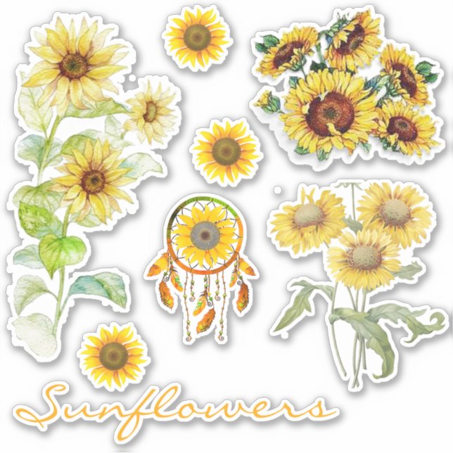 Pegatina conjunto de girasoles (Anverso)