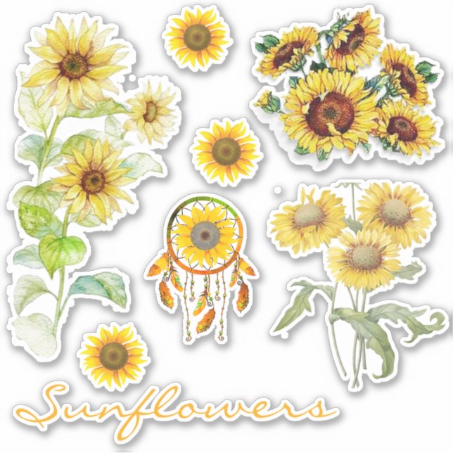Pegatina Conjunto de girasoles de (Anverso)