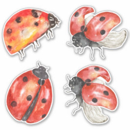 pegatina conjunto de ladybugs