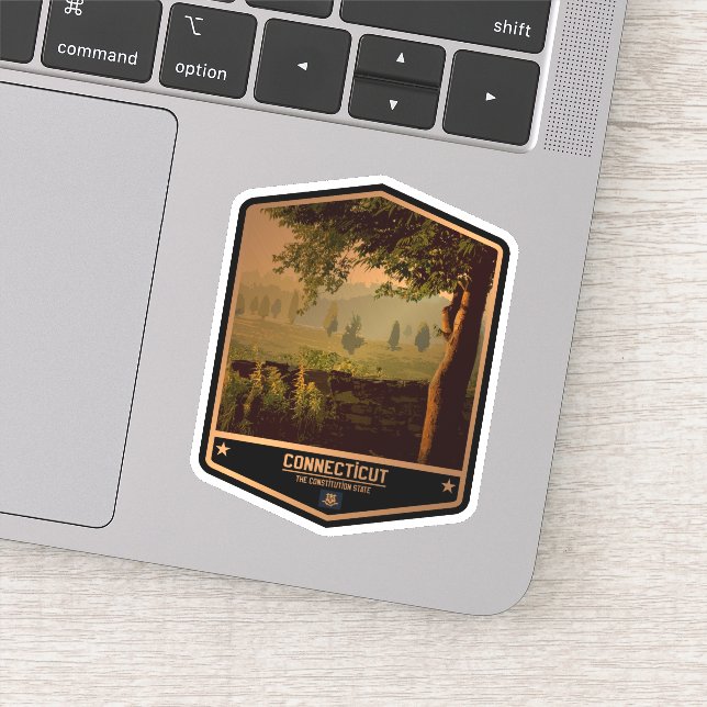 Pegatina Connecticut (Detalle)