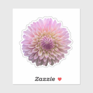 Pegatina Coralie Dahlia Flower