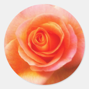 pegatina 'Corazón del Rosa'