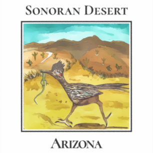 Pegatina Correcaminos del Desierto de Sonora Arizona