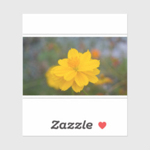 Pegatina Cosmos de azufre 01