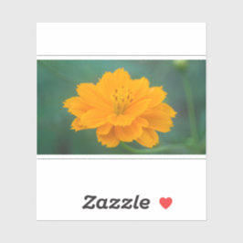 Pegatina Cosmos de azufre 02