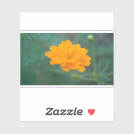 Pegatina Cosmos de azufre 03