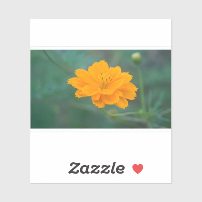 Pegatina Cosmos de azufre 03 (Hoja)
