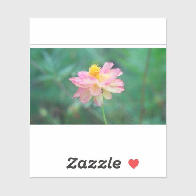 Pegatina Cosmos de azufre 04 (Hoja)