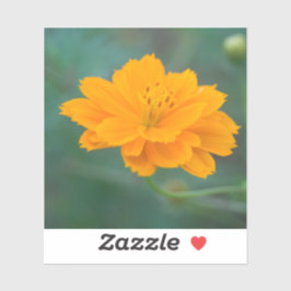 Pegatina Cosmos de azufre 04