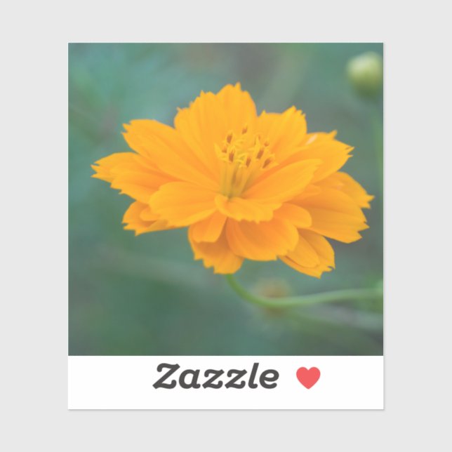 Pegatina Cosmos de azufre 04 (Hoja)