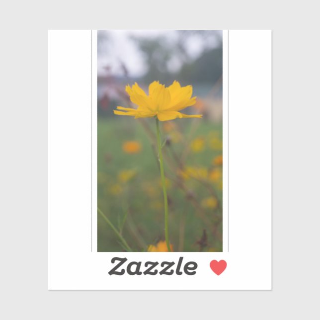 Pegatina Cosmos de azufre 05 (Hoja)