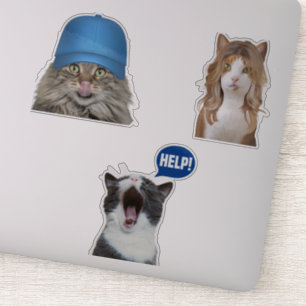 Pegatina Crazy Cat Memes