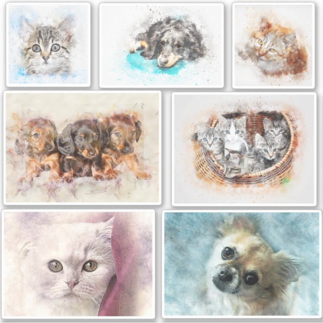 Pegatina Crear fácilmente un concurso de fotografía Mascota (Anverso)