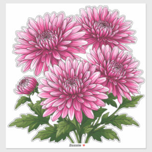 Pegatina Crisantemos rosados vibrantes en flor