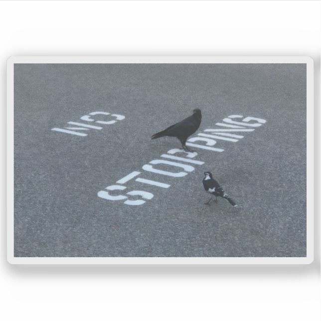 Pegatina Crow y Magpie (Anverso)