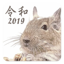 令和2019► DEGU ► Rodents