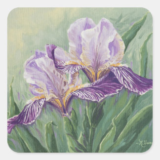 Pegatina Cuadrada 0455 Irises púrpura