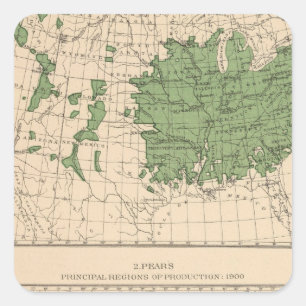Pegatina Cuadrada 174 manzanas, peras, regiones principales