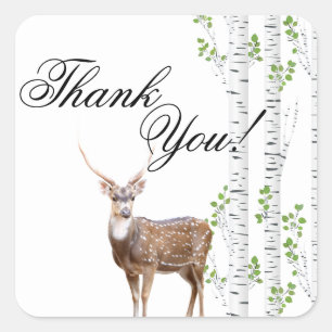 Pegatina Cuadrada 20 Gracias Pegatinas Deer Doe Buck Woodland Hunti