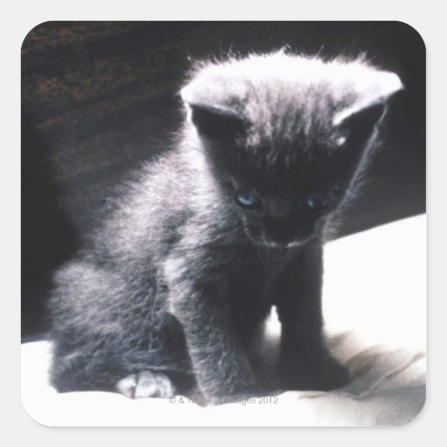 PEGATINA CUADRADA 24117556 (Anverso)