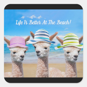 Pegatina Cuadrada 3 Alpacas La Vida Es Mejor En La Playa! Mensaje DI