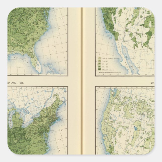 Pegatina Cuadrada 47 Maíz 1890 (Anverso)