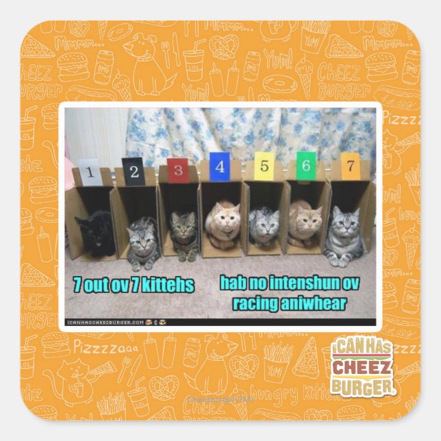 Pegatina Cuadrada 7 kittehs (Anverso)