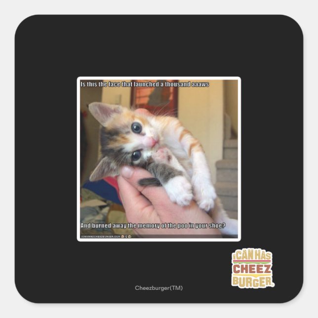 Pegatina Cuadrada Aaws (Anverso)