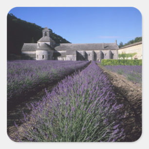 Pegatina Cuadrada Abadía de Senanque, Gordes, Vaucluse, Provenza,