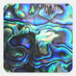 Pegatina Cuadrada Abalone paua shell