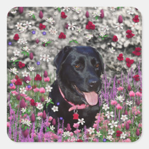 Pegatina Cuadrada Abby en flores - perro del laboratorio negro