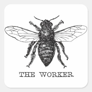 Pegatina Cuadrada Abee Worker Honey Black Bumblebee