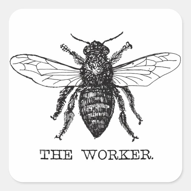 Pegatina Cuadrada Abee Worker Honey Black Bumblebee (Anverso)