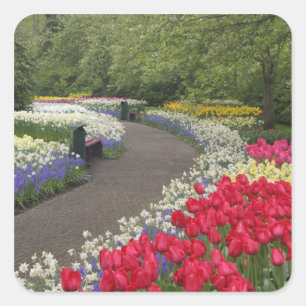 Pegatina Cuadrada Acera a través de tulipanes, narcisos, y
