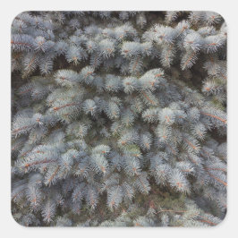 Pegatina Cuadrada Acero, gris, verde y azul de abeto medio con clase
