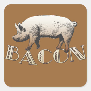 Pegatina Cuadrada Acrobat BACON Pig